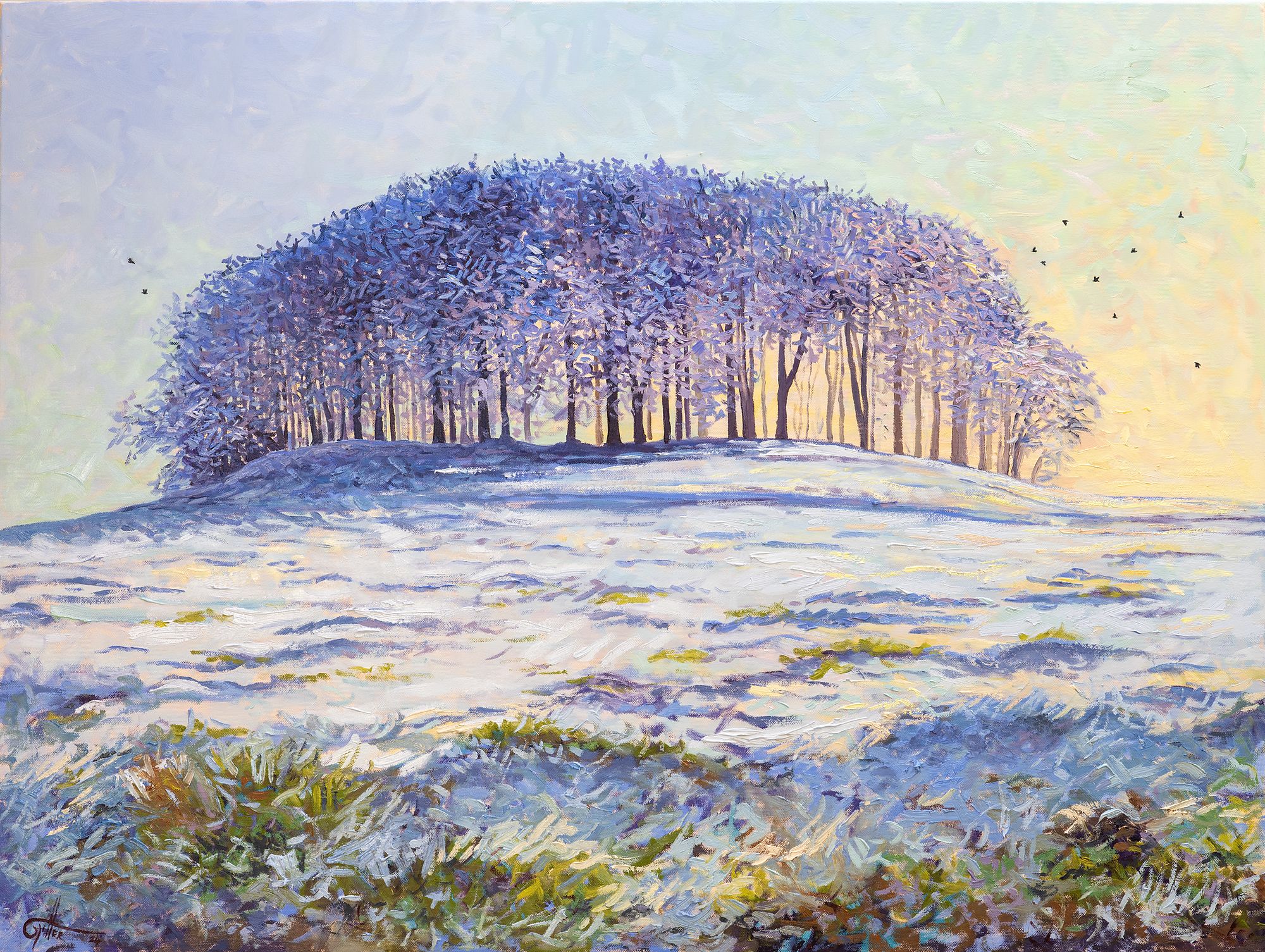 Rook Haven by Lee Tiller