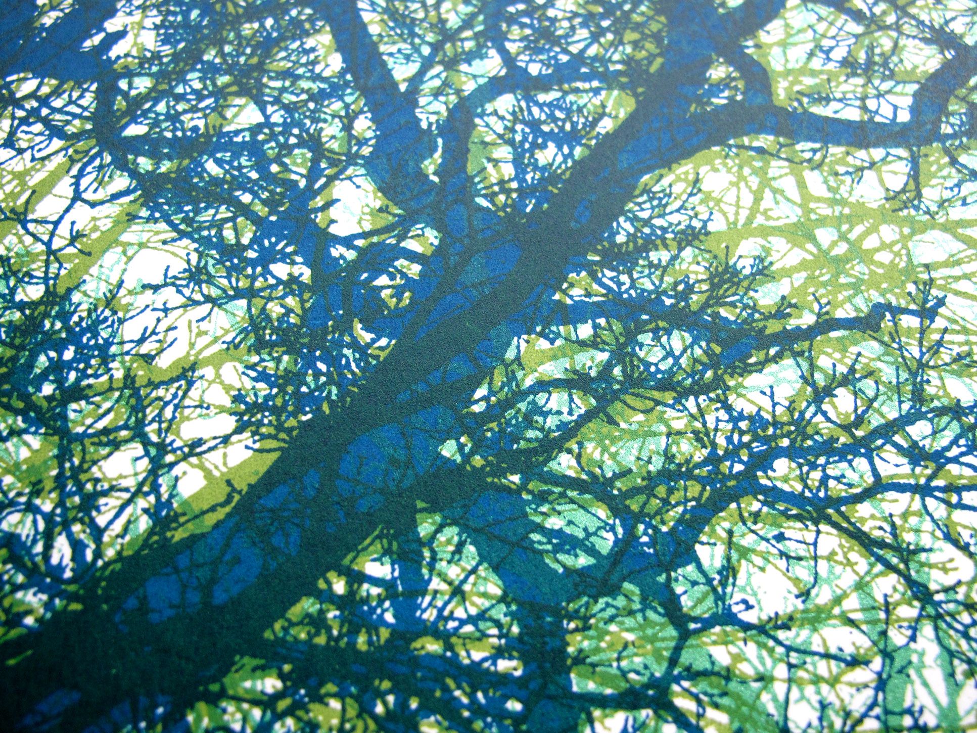 Wildwood by Chris Keegan - Secondary Image