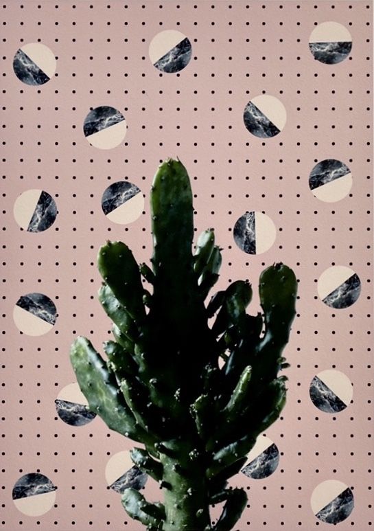 Plants and Marble #2 by Fei Alexeli