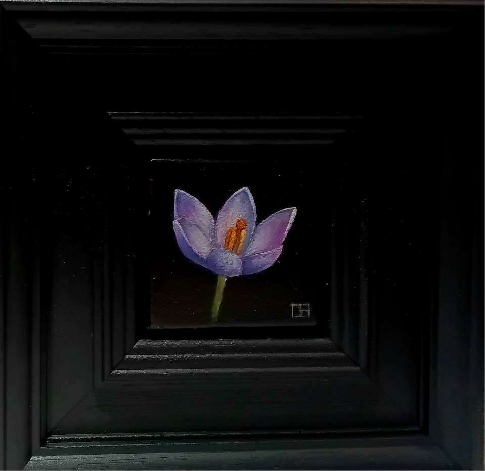 Crocus Purple Pink Pocket Painting by Dani Humberstone