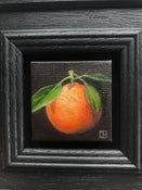 pocket clementine 2022 by Dani Humberstone