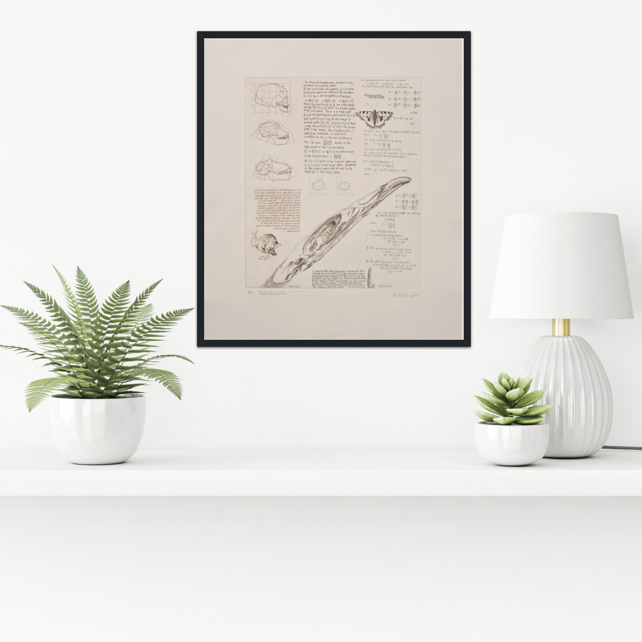 Transformation by Will Taylor - Secondary Image