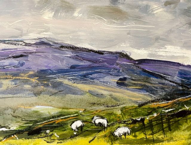 Highland sheep I by Natalie Bird