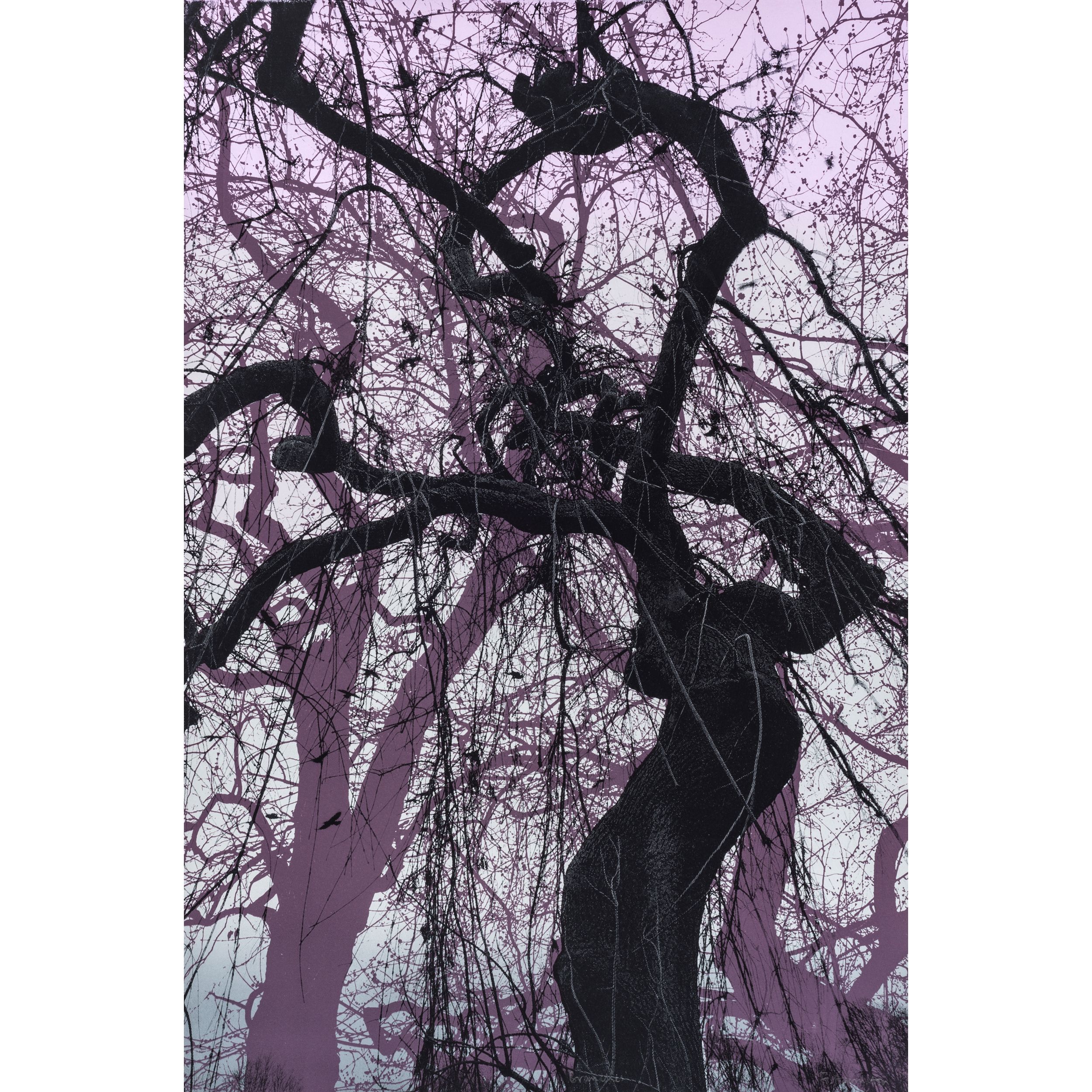 Branches Purple by Fiona Hamilton