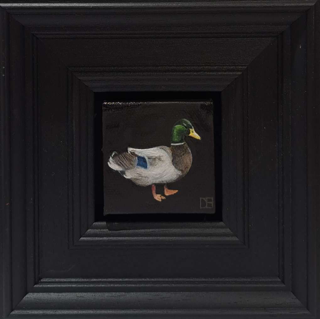 Duck Mallard Pocket Painting  by Dani Humberstone