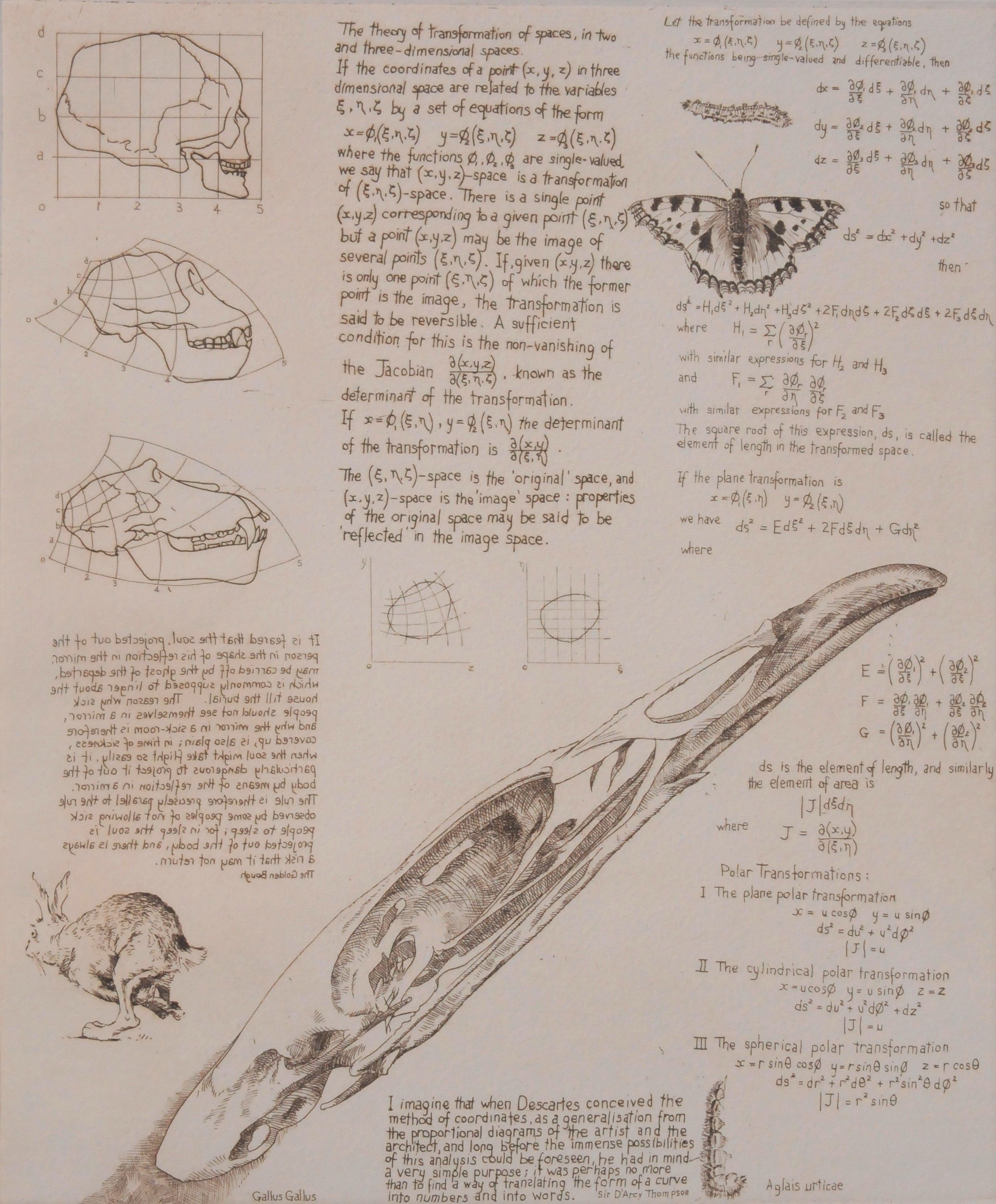 Transformation by Will Taylor