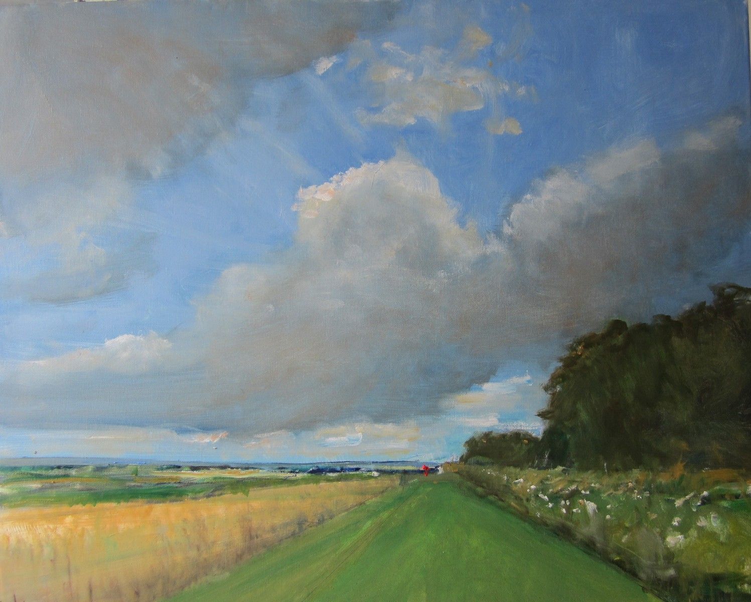 Yorkshire Wolds,  July 5 by Malcom Ludvigsen