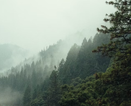 Test Painting by Wychwood Art Gallery - Secondary Image