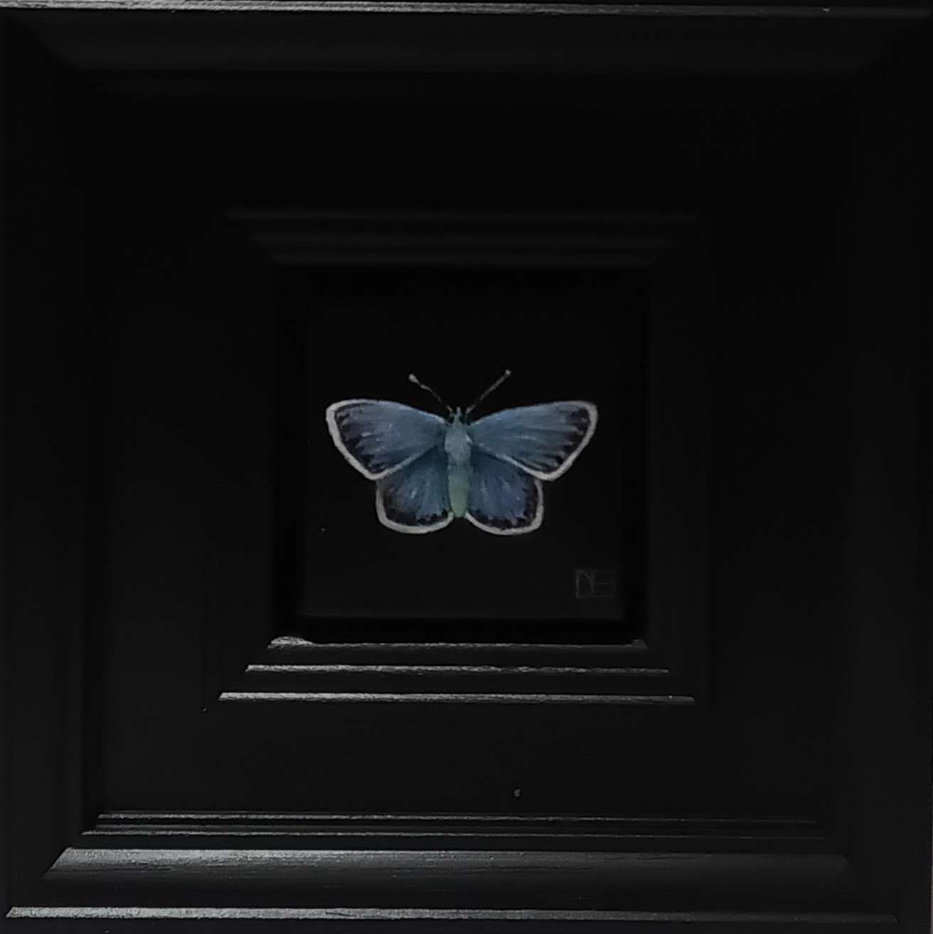 Butterfly Blue Common Pocket Painting by Dani Humberstone