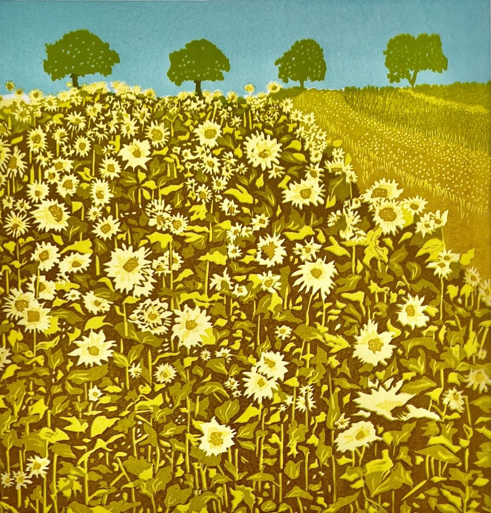 Sunflower Field by Ann Burnham