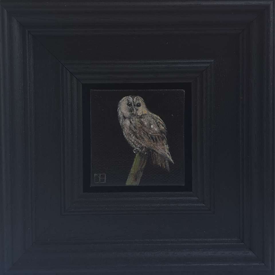 Owl Tawny Pocket Painting  by Dani Humberstone