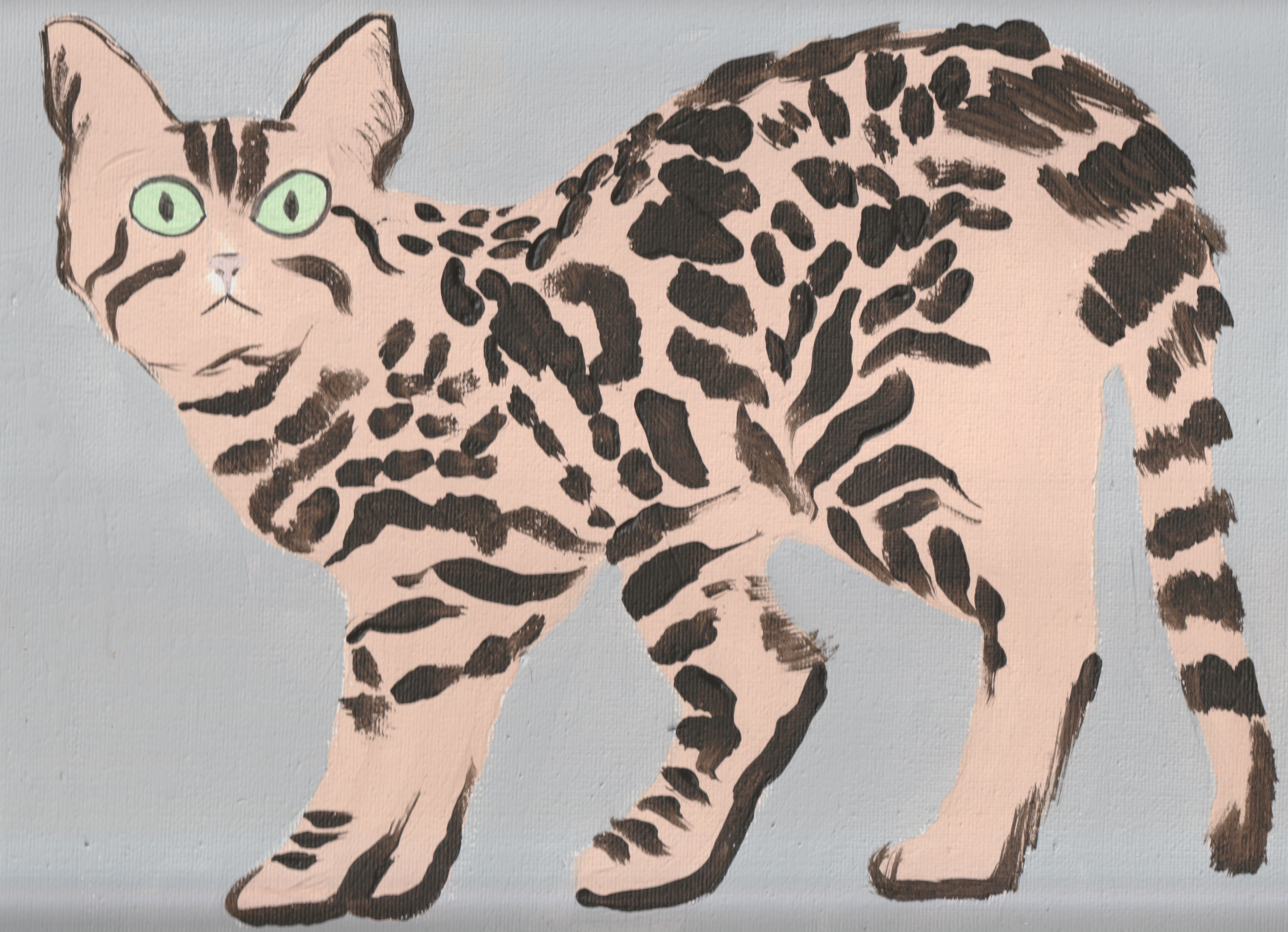 Perky Tabby  by Lucie Sheridan