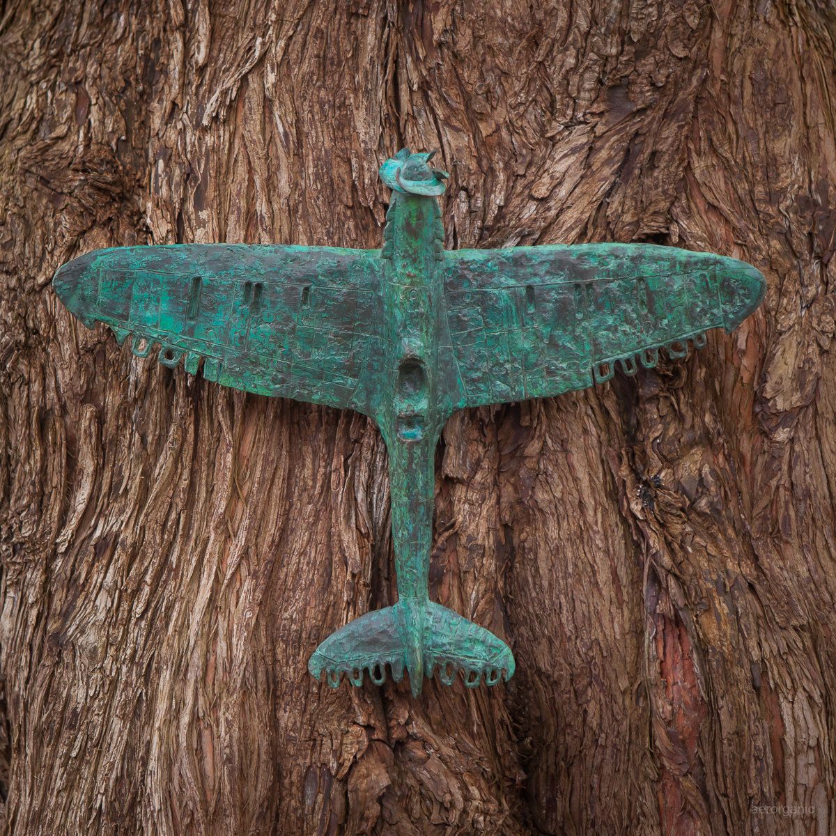 CRUCIFIER by Adam Warwick Hall