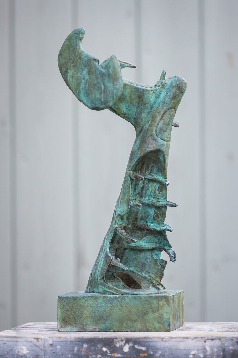 Discombobulated Liberator by Adam Warwick Hall