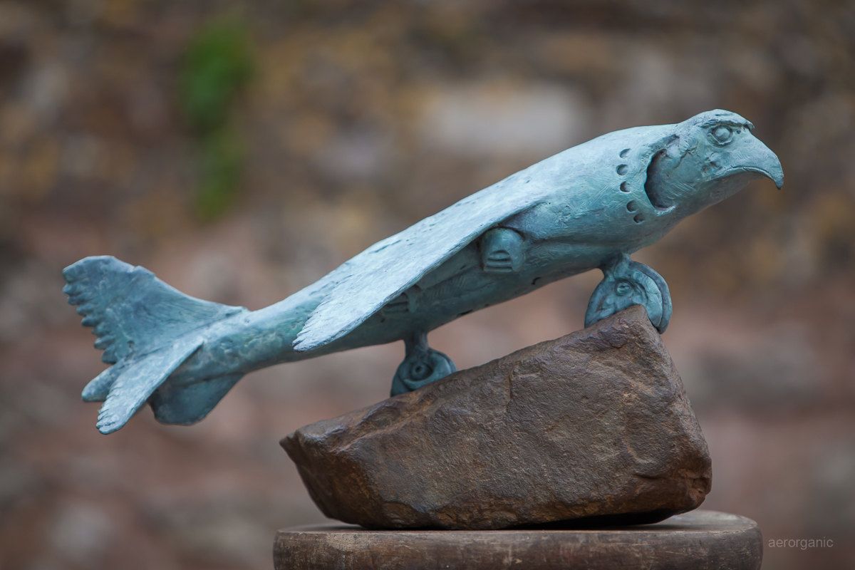 Harrier Hawk by Adam Warwick Hall