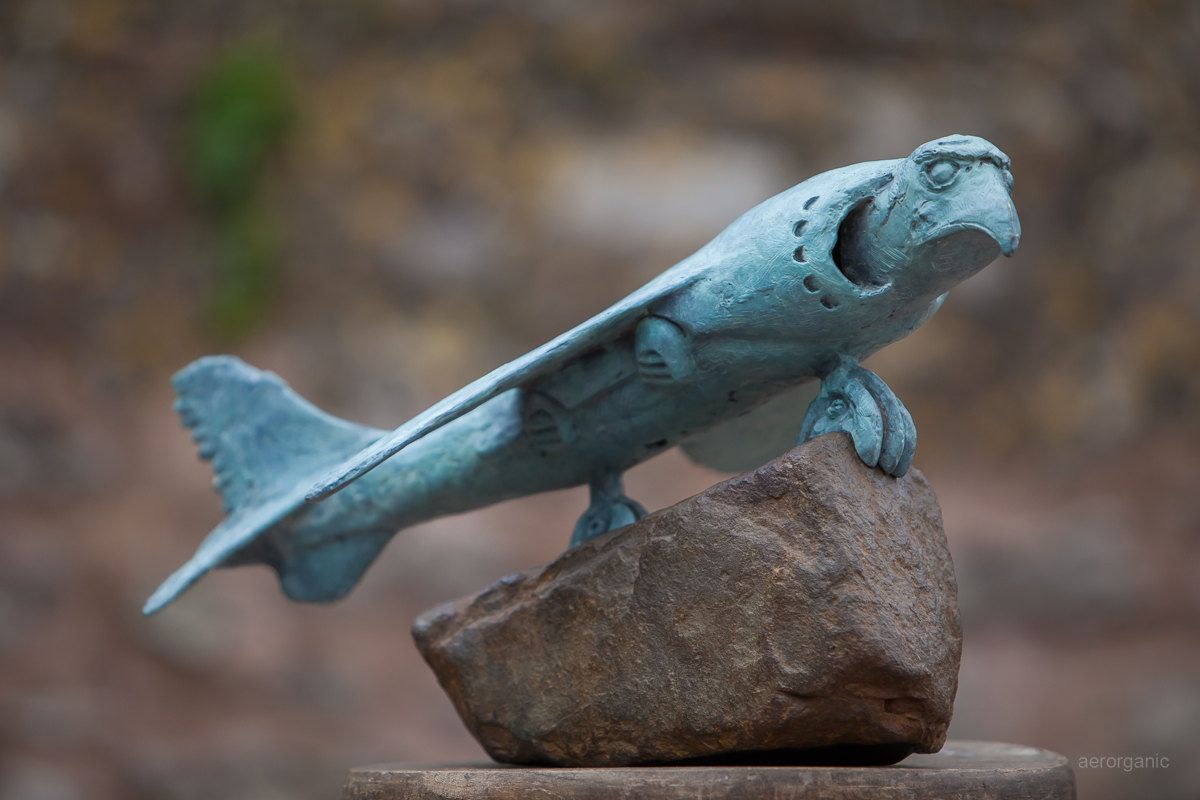 Harrier Hawk by Adam Warwick Hall - Secondary Image