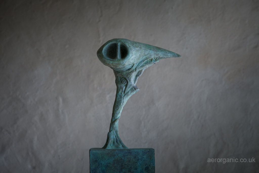 ROTATE by Adam Warwick Hall