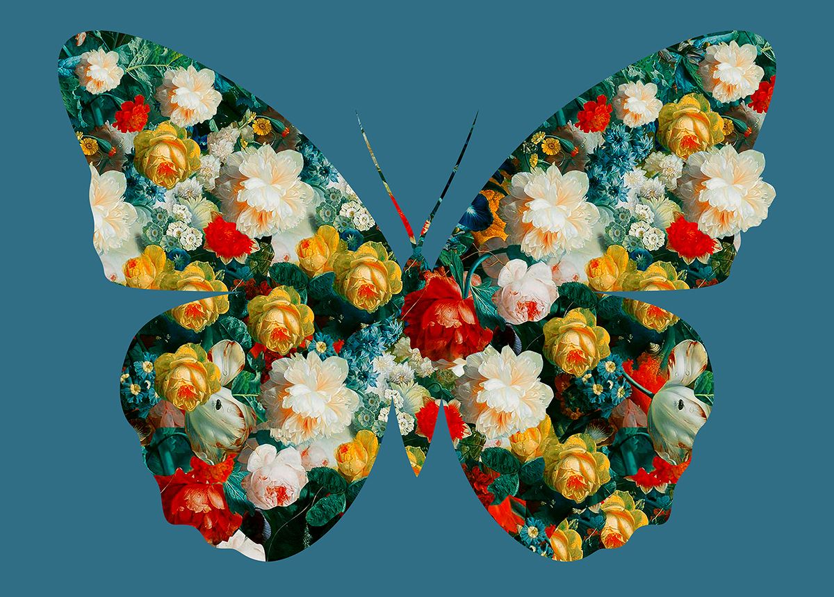 Butterfly 47(Blue) by Agent X