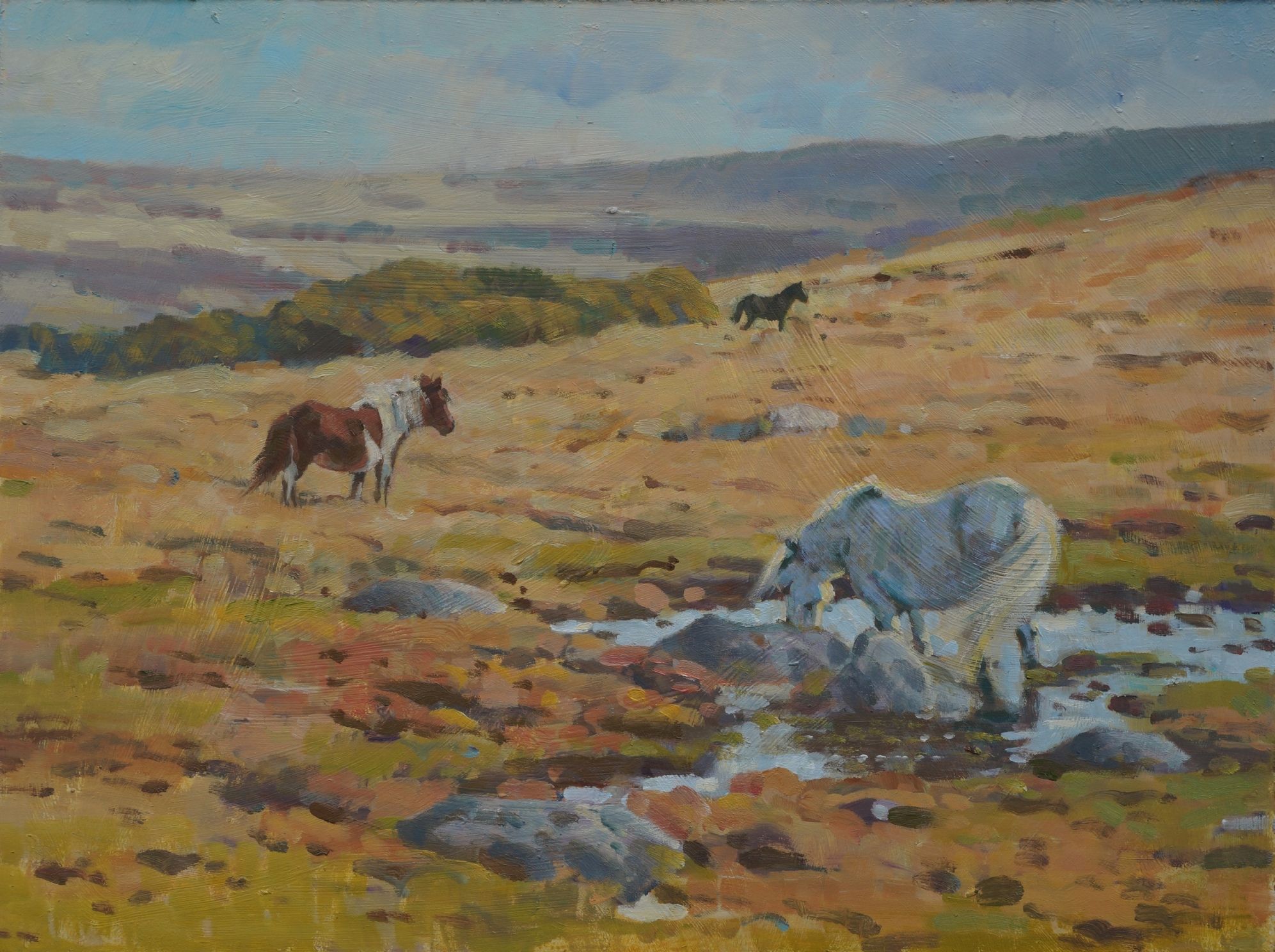 Autumn Dartmoor by Colin Allbrook