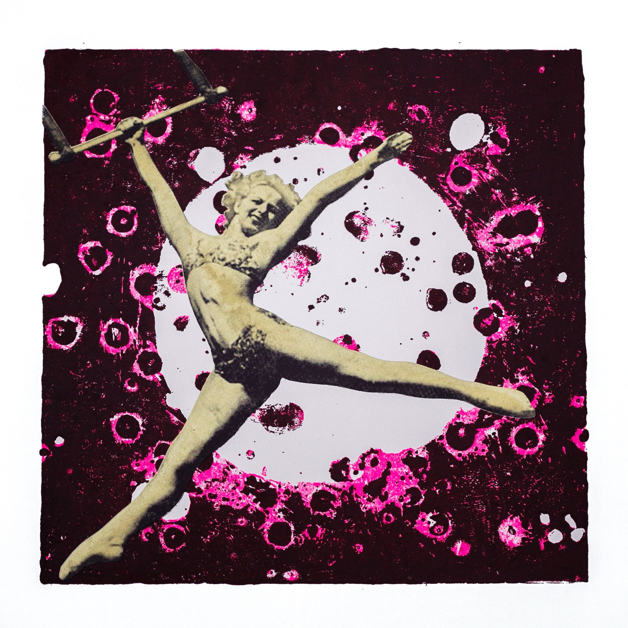 Flying High by Amy Gardner