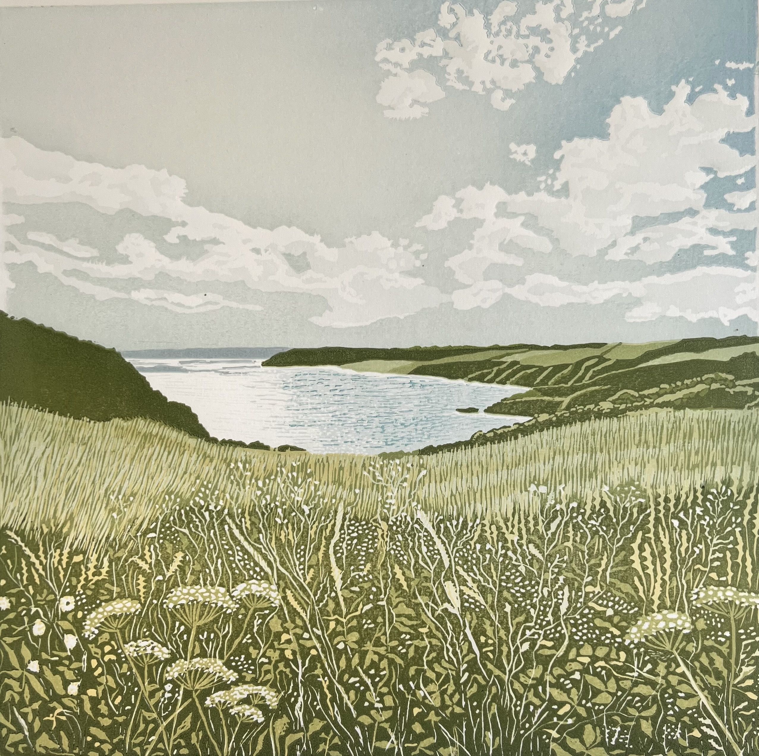 Gull Cove by Ann Burnham