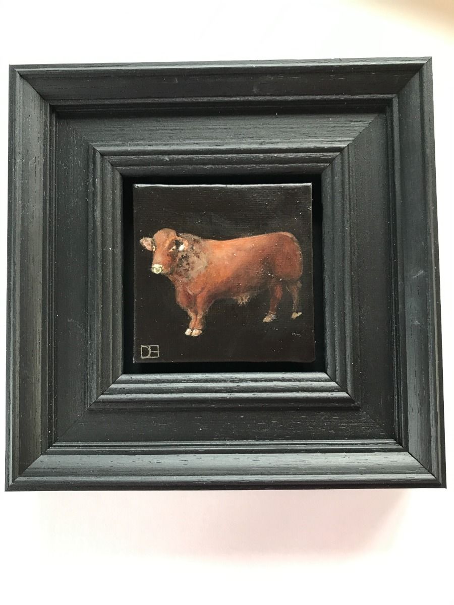 Bull Pocket Painting  by Dani Humberstone