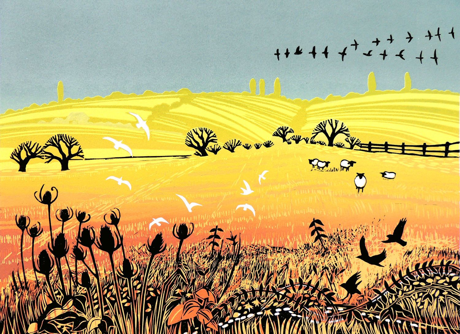 Sunlight across the fields by Rob Barnes