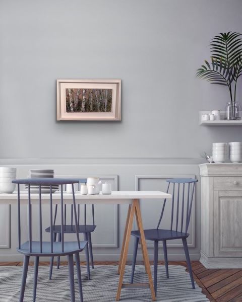 Birch Shapes by Andrea Bates - Secondary Image