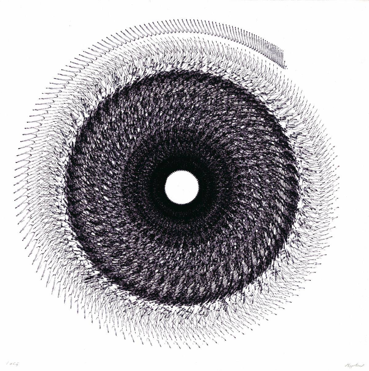 Flock 5 by Nigel bird by Nigel Bird