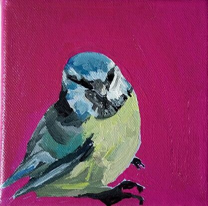 Bluetit in the Kitchen by Sarah Adams