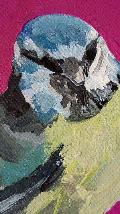 Bluetit in the Kitchen by Sarah Adams - Secondary Image