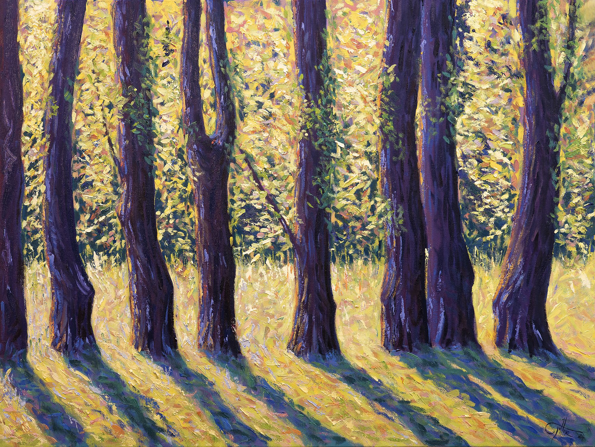 September sunlight by Lee Tiller