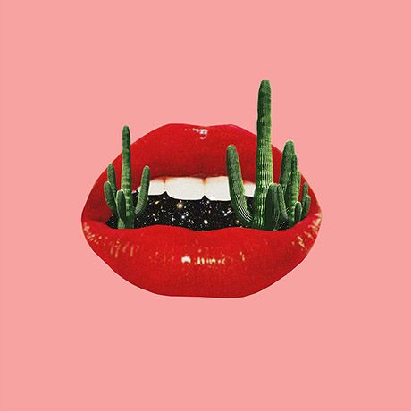 Cactus And Universe Within by Fei Alexeli