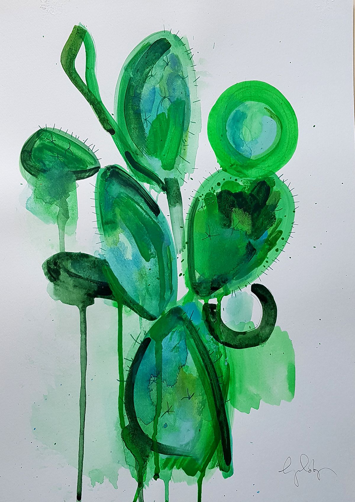 Cactus Plant by Gavin Dobson