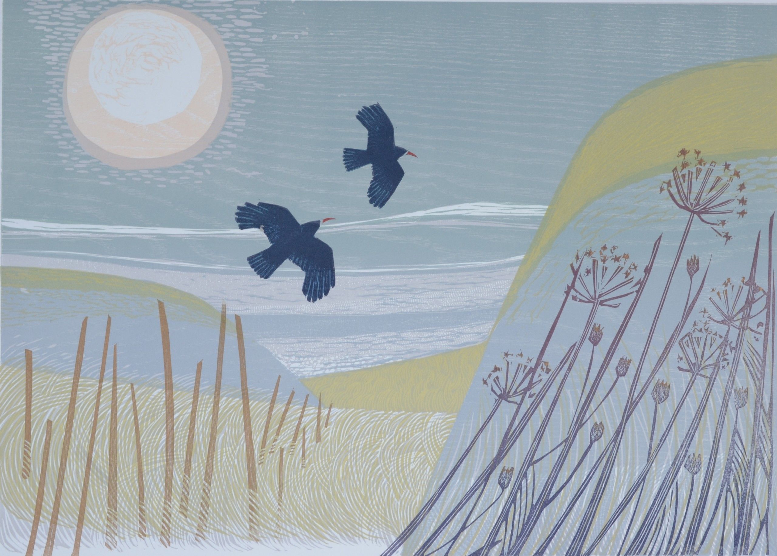 Choughs by Charlotte Baxter