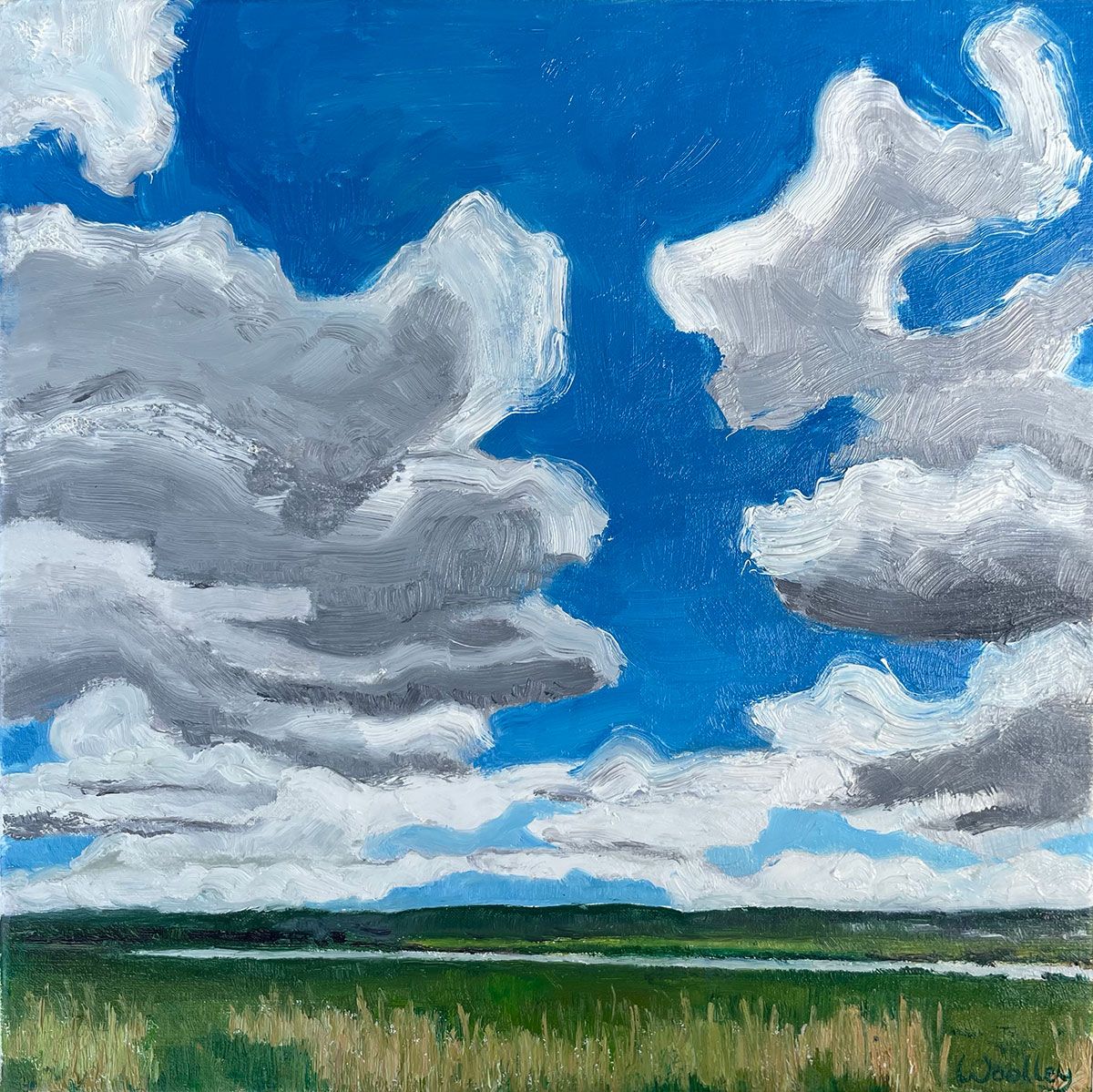 Kingfisher Hide 5 by Eleanor Woolley