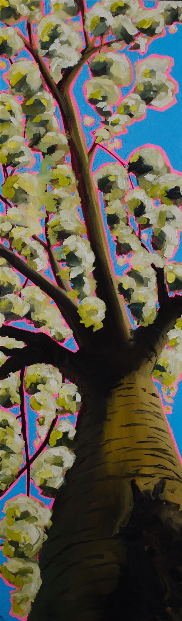 Looking Up through white blossom when she feels lost by Emily Finch