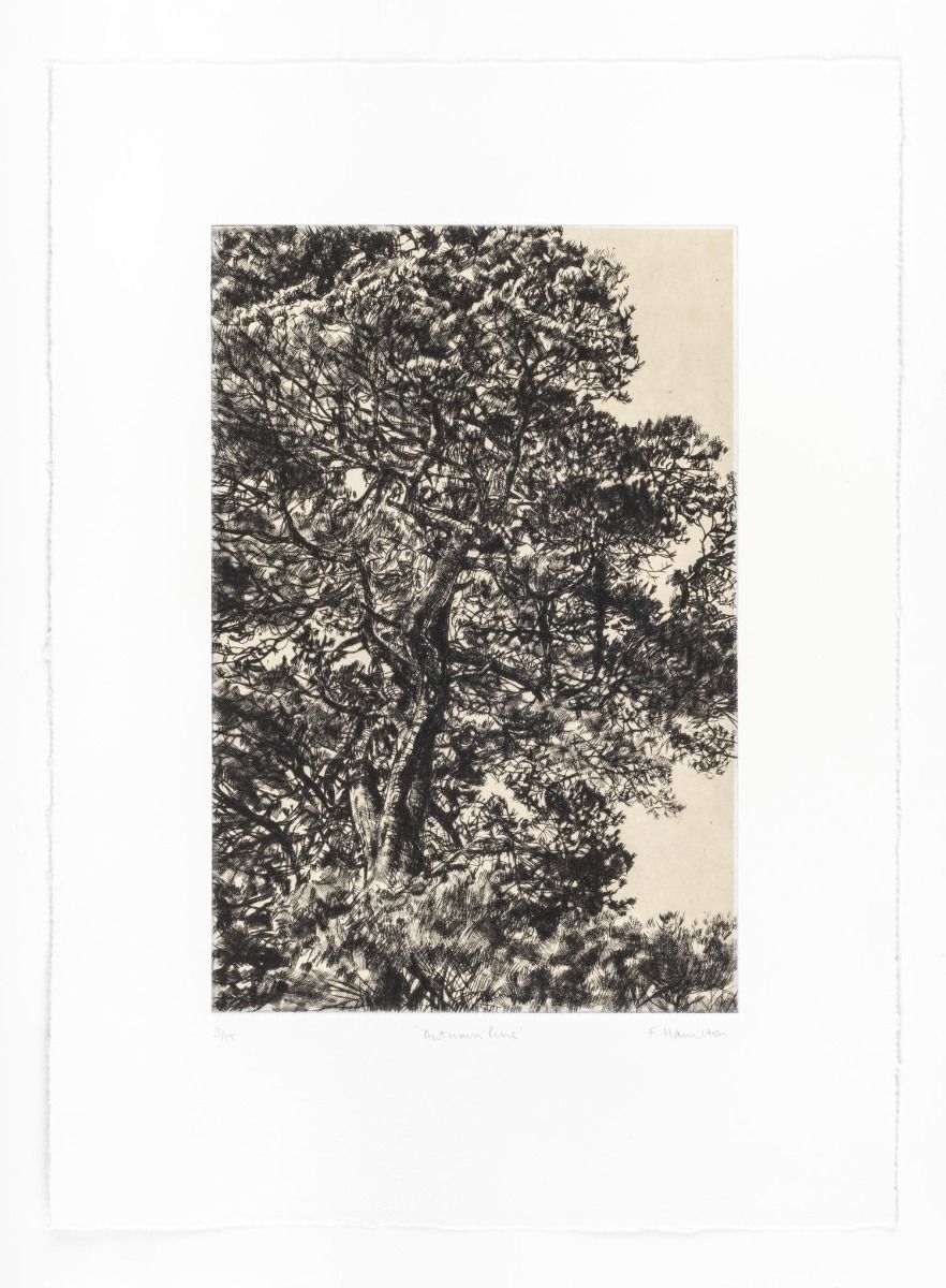 Autumn Pine by Fiona Hamilton - Secondary Image