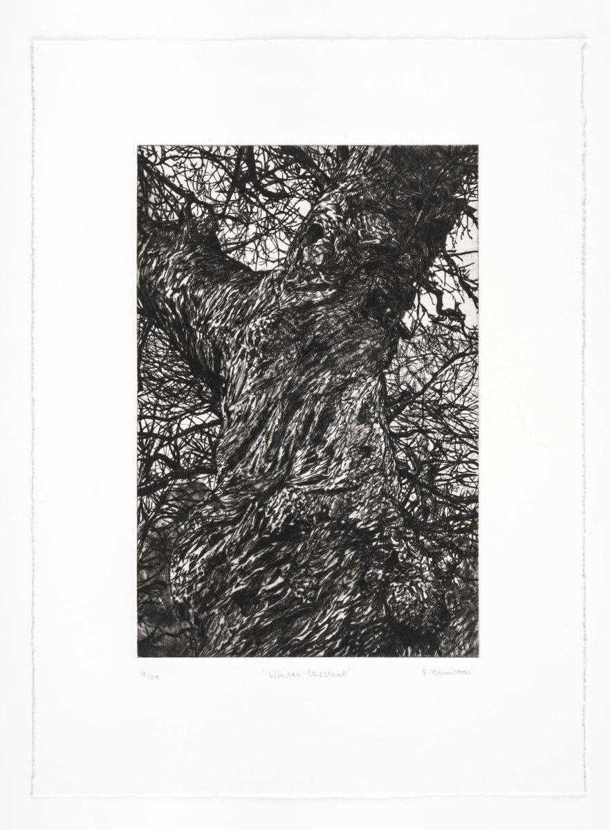 Winter Chestnut by Fiona Hamilton - Secondary Image