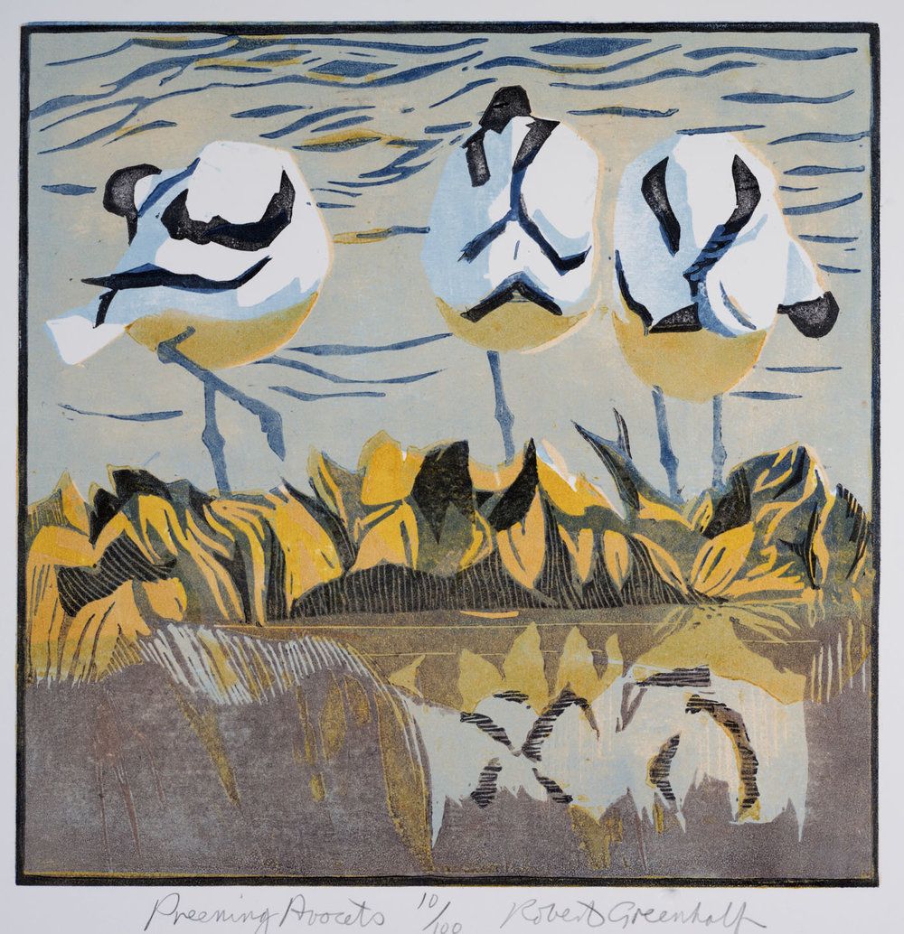 Preening Avocets by Robert Greenhalf