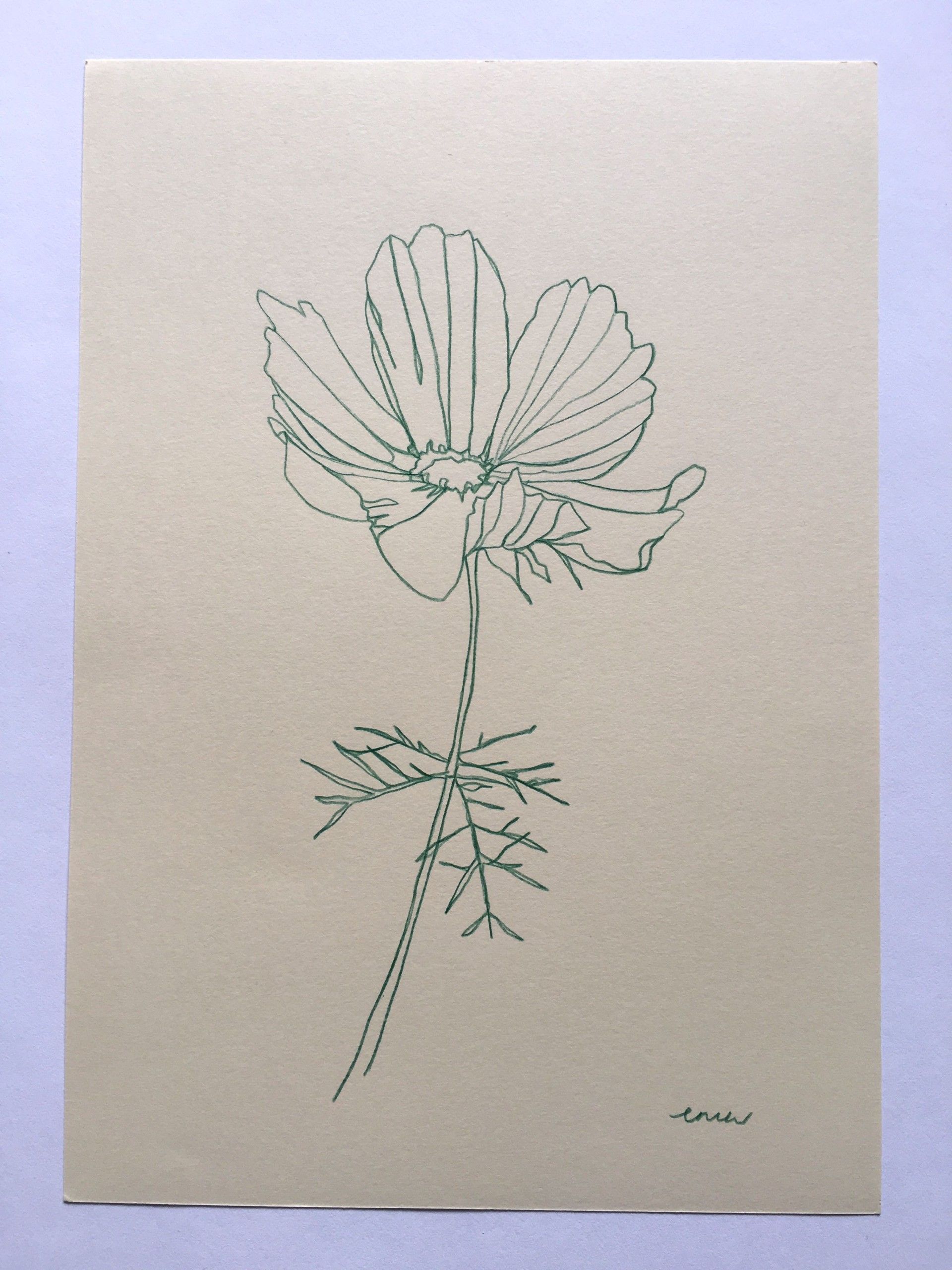 Cosmos 4 by Ellen Williams - Secondary Image