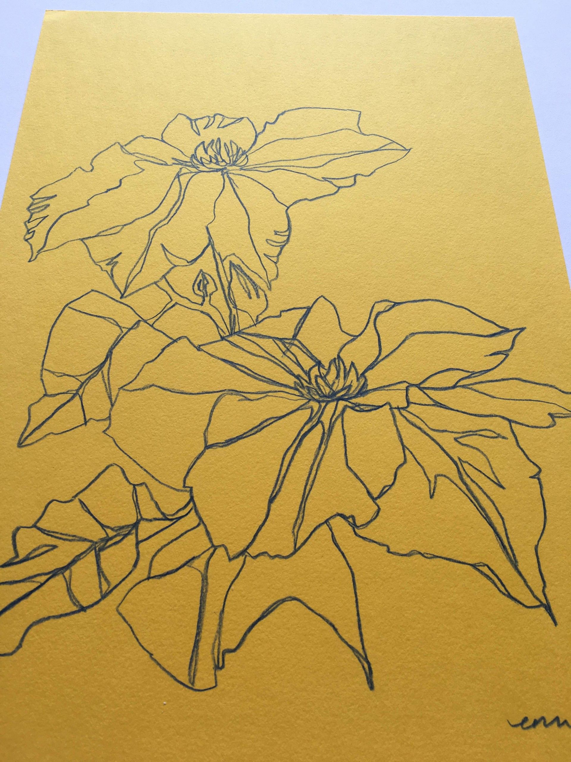 Clematis 4 by Ellen Williams - Secondary Image