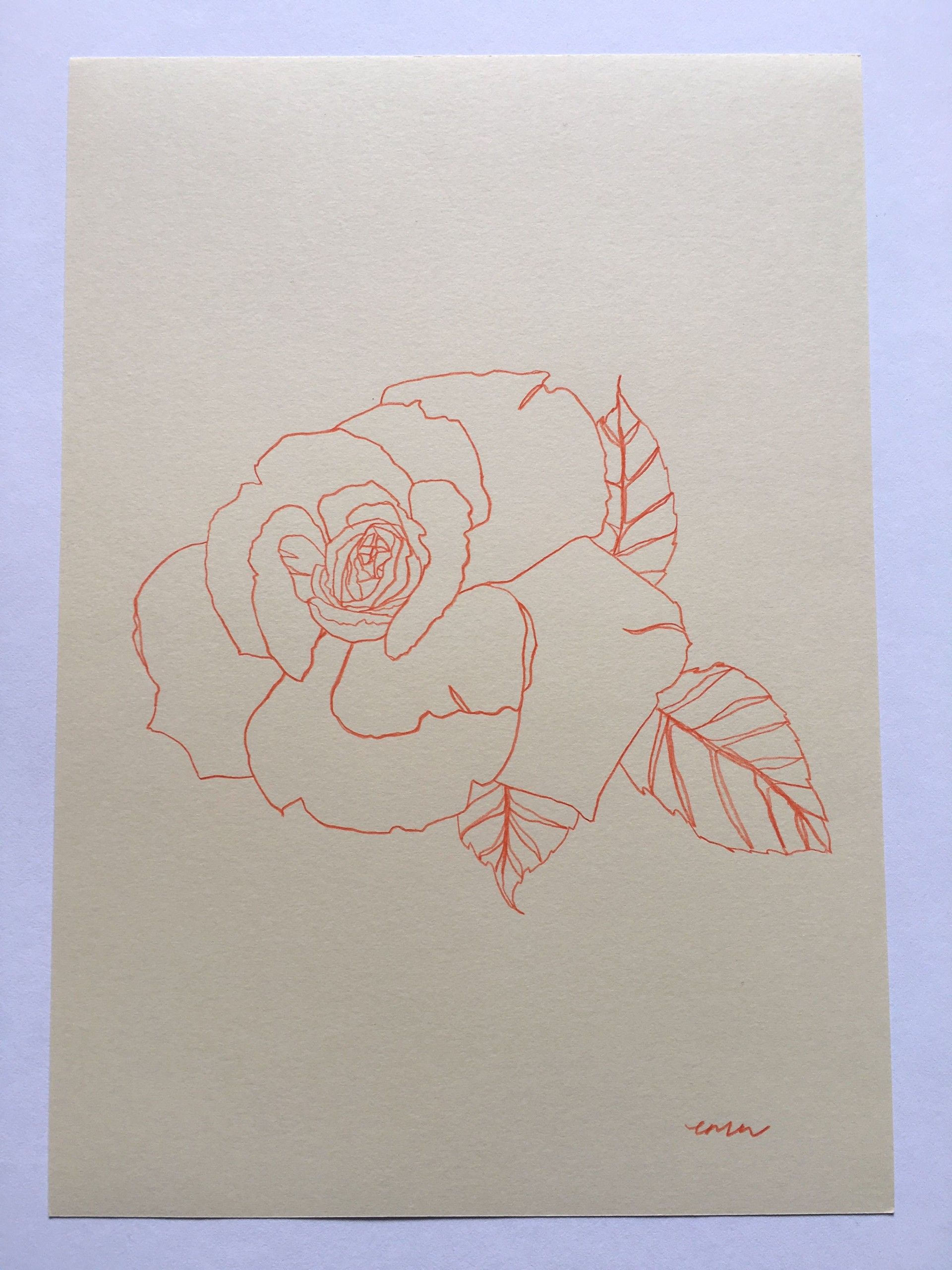 Rose 13 by Ellen Williams - Secondary Image