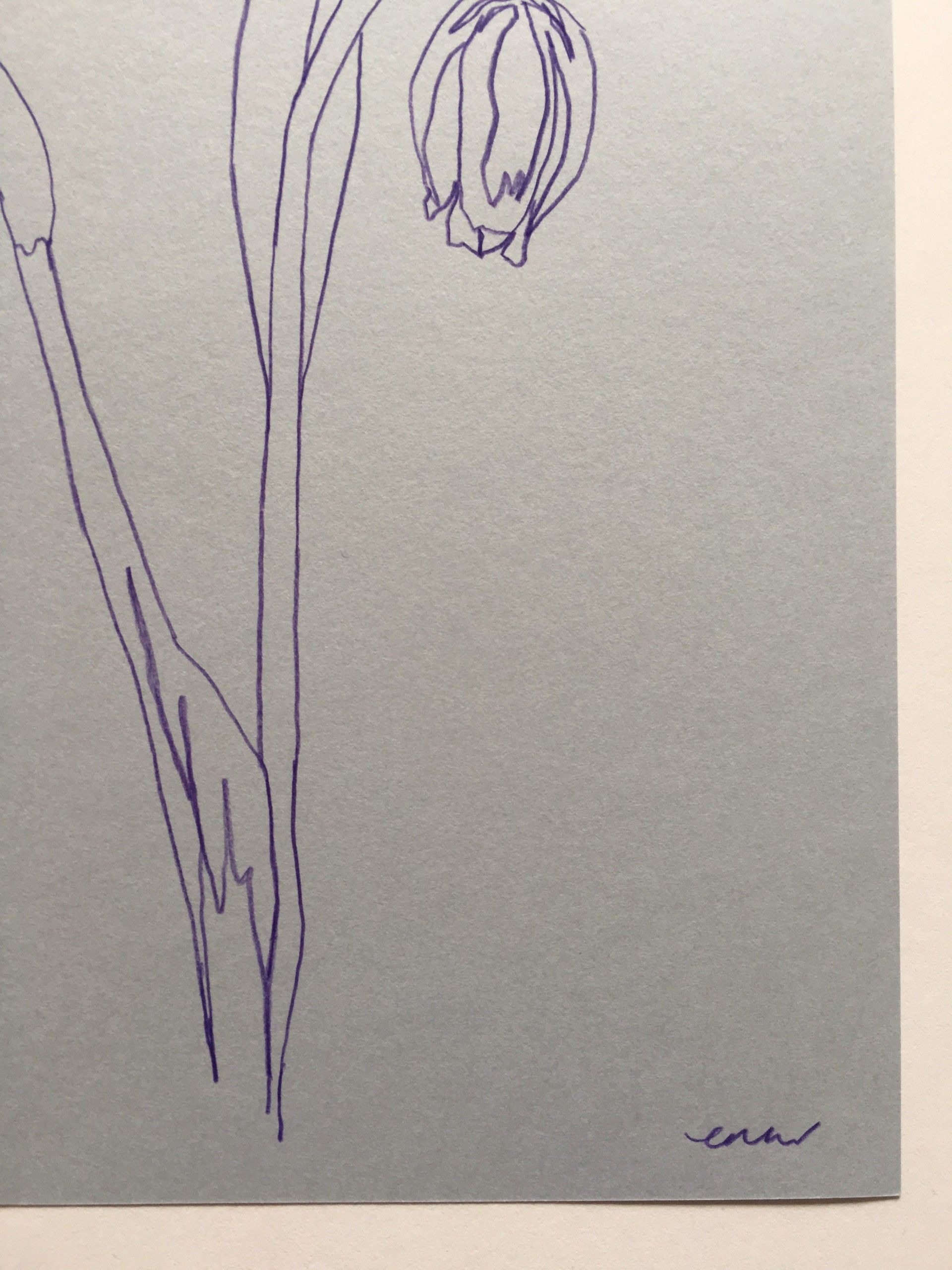 Snakes Head Fritillary by Ellen Williams - Secondary Image