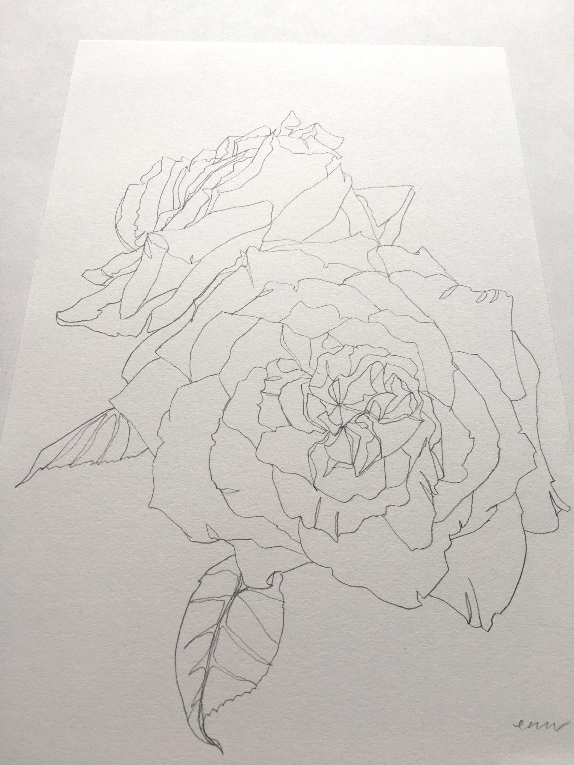 Rose 14 by Ellen Williams - Secondary Image