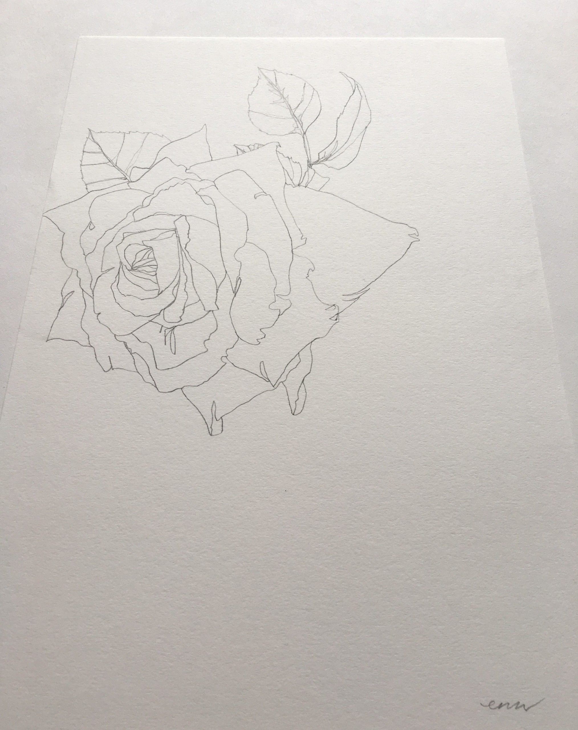 Rose 16 by Ellen Williams - Secondary Image