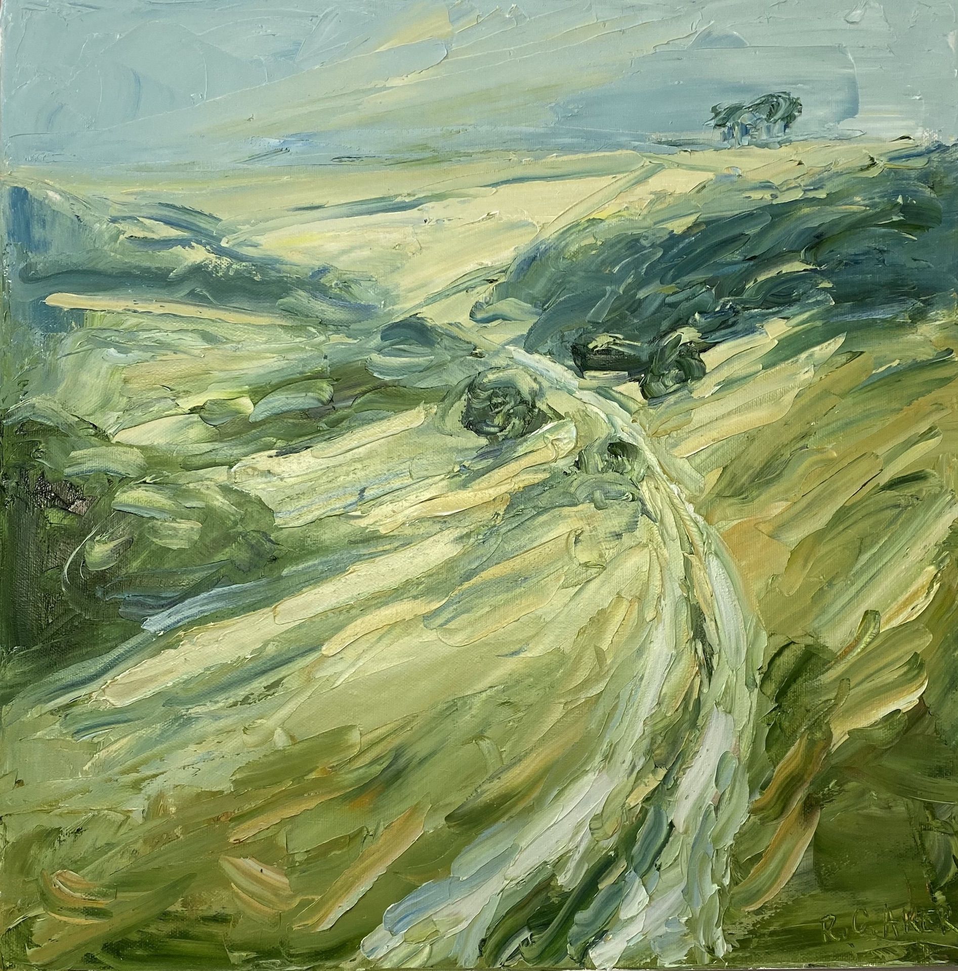 Cleeve Hill by Rupert Aker