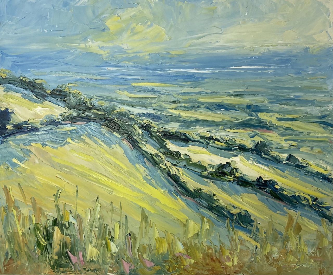 Rodborough Common by Rupert Aker