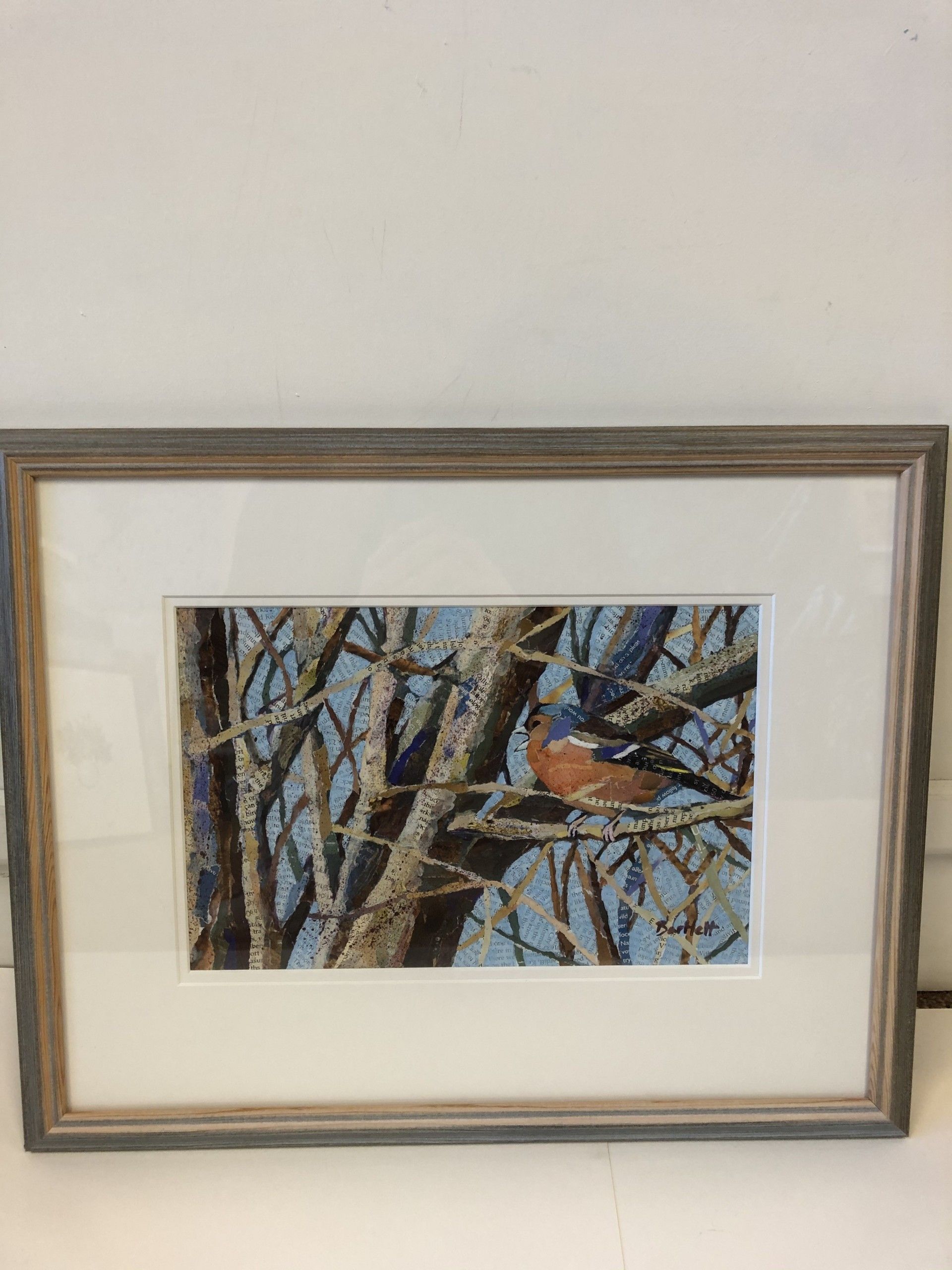 Chaffinch by Paul Bartlett