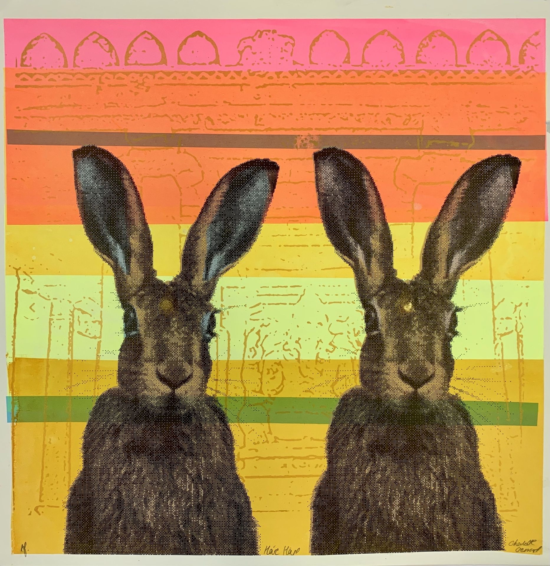 Hare Hare by Charlotte Gerrard